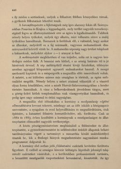 Image of the Page - 440 - in Az Osztrák-Magyar Monarchia írásban és képben - Bosznia és Hercegovina, Volume 22