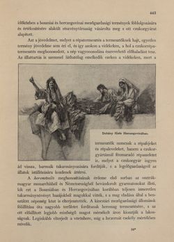 Image of the Page - 443 - in Az Osztrák-Magyar Monarchia írásban és képben - Bosznia és Hercegovina, Volume 22