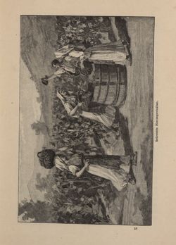 Image of the Page - 457 - in Az Osztrák-Magyar Monarchia írásban és képben - Bosznia és Hercegovina, Volume 22