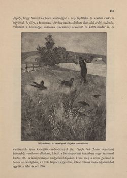 Image of the Page - 469 - in Az Osztrák-Magyar Monarchia írásban és képben - Bosznia és Hercegovina, Volume 22