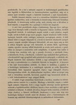 Image of the Page - 483 - in Az Osztrák-Magyar Monarchia írásban és képben - Bosznia és Hercegovina, Volume 22