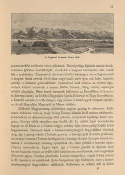 Image of the Page - 11 - in Az Osztrák-Magyar Monarchia írásban és képben - Magyarország VI, Volume 23/1
