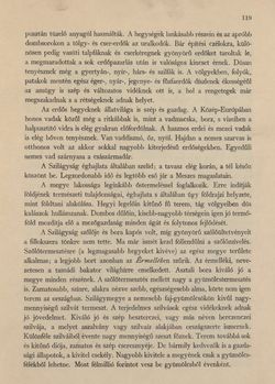 Bild der Seite - 119 - in Az Osztrák-Magyar Monarchia írásban és képben - Magyarország VI, Band 23/1