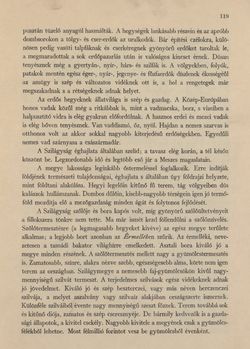 Image of the Page - 119 - in Az Osztrák-Magyar Monarchia írásban és képben - Magyarország VI, Volume 23/1