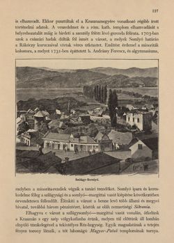 Image of the Page - 127 - in Az Osztrák-Magyar Monarchia írásban és képben - Magyarország VI, Volume 23/1