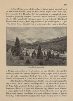 Bild der Seite - 141 - in Az Osztrák-Magyar Monarchia írásban és képben - Magyarország VI, Band 23/1