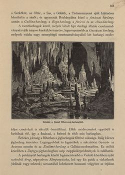 Image of the Page - 143 - in Az Osztrák-Magyar Monarchia írásban és képben - Magyarország VI, Volume 23/1