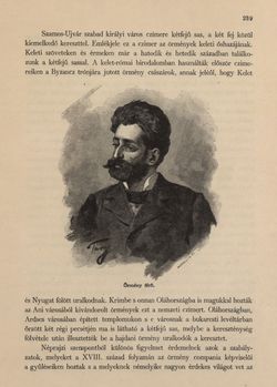 Bild der Seite - 239 - in Az Osztrák-Magyar Monarchia írásban és képben - Magyarország VI, Band 23/1