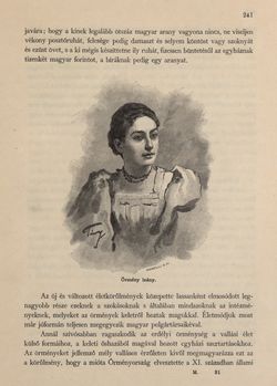 Bild der Seite - 241 - in Az Osztrák-Magyar Monarchia írásban és képben - Magyarország VI, Band 23/1