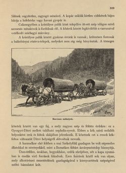 Bild der Seite - 309 - in Az Osztrák-Magyar Monarchia írásban és képben - Magyarország VI, Band 23/2