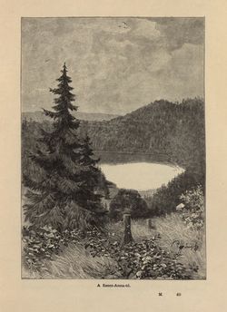 Image of the Page - 313 - in Az Osztrák-Magyar Monarchia írásban és képben - Magyarország VI, Volume 23/2
