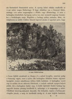 Bild der Seite - 353 - in Az Osztrák-Magyar Monarchia írásban és képben - Magyarország VI, Band 23/2