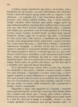 Bild der Seite - 388 - in Az Osztrák-Magyar Monarchia írásban és képben - Magyarország VI, Band 23/2