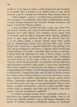 Image of the Page - 394 - in Az Osztrák-Magyar Monarchia írásban és képben - Magyarország VI, Volume 23/2