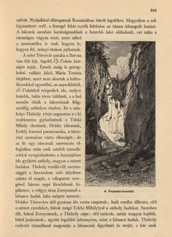 Image of the Page - 399 - in Az Osztrák-Magyar Monarchia írásban és képben - Magyarország VI, Volume 23/2