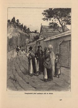 Bild der Seite - 419 - in Az Osztrák-Magyar Monarchia írásban és képben - Magyarország VI, Band 23/2