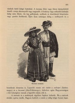 Bild der Seite - 421 - in Az Osztrák-Magyar Monarchia írásban és képben - Magyarország VI, Band 23/2