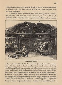 Bild der Seite - 423 - in Az Osztrák-Magyar Monarchia írásban és képben - Magyarország VI, Band 23/2