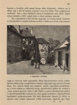 Bild der Seite - 441 - in Az Osztrák-Magyar Monarchia írásban és képben - Magyarország VI, Band 23/2