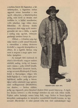 Bild der Seite - 461 - in Az Osztrák-Magyar Monarchia írásban és képben - Magyarország VI, Band 23/2