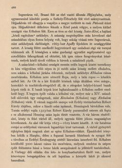 Image of the Page - 480 - in Az Osztrák-Magyar Monarchia írásban és képben - Magyarország VI, Volume 23/2