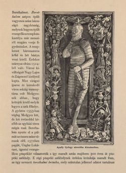 Bild der Seite - 485 - in Az Osztrák-Magyar Monarchia írásban és képben - Magyarország VI, Band 23/2