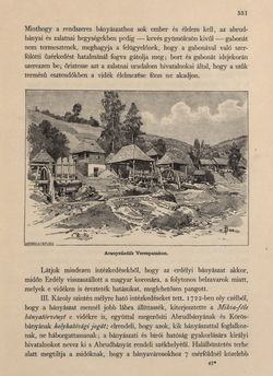 Image of the Page - 531 - in Az Osztrák-Magyar Monarchia írásban és képben - Magyarország VI, Volume 23/2