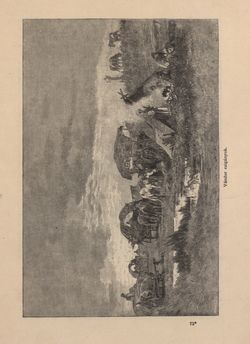 Bild der Seite - 571 - in Az Osztrák-Magyar Monarchia írásban és képben - Magyarország VI, Band 23/2