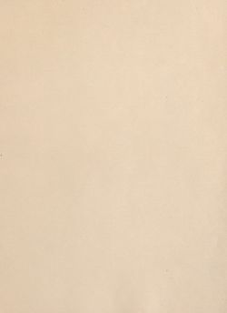 Image of the Page - (000339) - in Az Osztrák-Magyar Monarchia írásban és képben - Magyarország VI, Volume 23/2