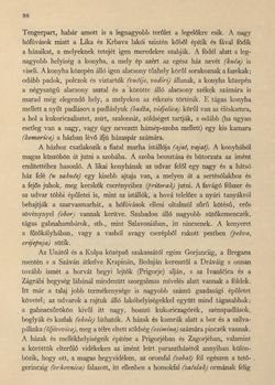 Bild der Seite - 96 - in Az Osztrák-Magyar Monarchia írásban és képben - Horvát-Szlavonország (1), Band 24/1