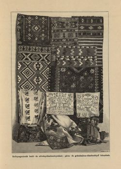 Image of the Page - 101 - in Az Osztrák-Magyar Monarchia írásban és képben - Horvát-Szlavonország (1), Volume 24/1