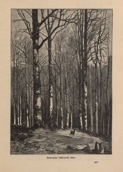 Image of the Page - 235 - in Az Osztrák-Magyar Monarchia írásban és képben - Horvát-Szlavonország (1), Volume 24/1