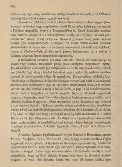 Bild der Seite - 306 - in Az Osztrák-Magyar Monarchia írásban és képben - Horvát-Szlavonország (2), Band 24/2