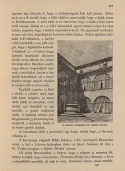 Bild der Seite - 307 - in Az Osztrák-Magyar Monarchia írásban és képben - Horvát-Szlavonország (2), Band 24/2