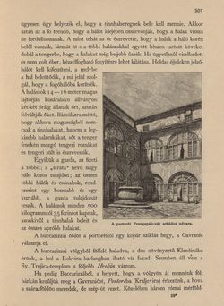 Image of the Page - 307 - in Az Osztrák-Magyar Monarchia írásban és képben - Horvát-Szlavonország (2), Volume 24/2