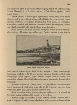 Image of the Page - 317 - in Az Osztrák-Magyar Monarchia írásban és képben - Horvát-Szlavonország (2), Volume 24/2