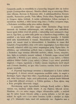Bild der Seite - 334 - in Az Osztrák-Magyar Monarchia írásban és képben - Horvát-Szlavonország (2), Band 24/2