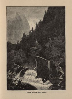 Bild der Seite - 341 - in Az Osztrák-Magyar Monarchia írásban és képben - Horvát-Szlavonország (2), Band 24/2