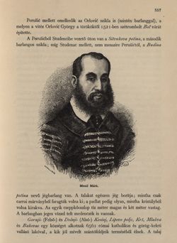 Bild der Seite - 357 - in Az Osztrák-Magyar Monarchia írásban és képben - Horvát-Szlavonország (2), Band 24/2