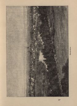 Bild der Seite - 387 - in Az Osztrák-Magyar Monarchia írásban és képben - Horvát-Szlavonország (2), Band 24/2