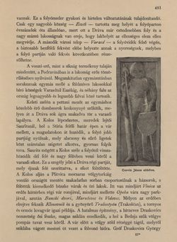 Bild der Seite - 451 - in Az Osztrák-Magyar Monarchia írásban és képben - Horvát-Szlavonország (2), Band 24/2