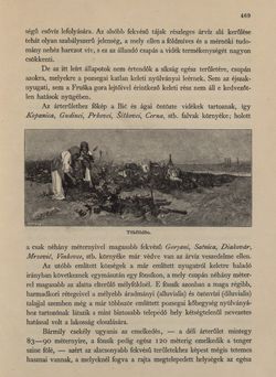Image of the Page - 469 - in Az Osztrák-Magyar Monarchia írásban és képben - Horvát-Szlavonország (2), Volume 24/2