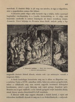 Bild der Seite - 485 - in Az Osztrák-Magyar Monarchia írásban és képben - Horvát-Szlavonország (2), Band 24/2