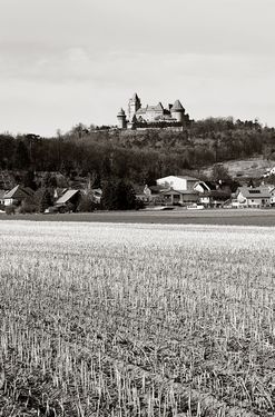 Bild der Seite - 254 - in Kreuzenstein - Die mittelalterliche Burg als Konstruktion der Moderne