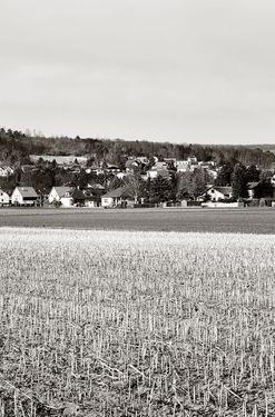 Bild der Seite - 255 - in Kreuzenstein - Die mittelalterliche Burg als Konstruktion der Moderne