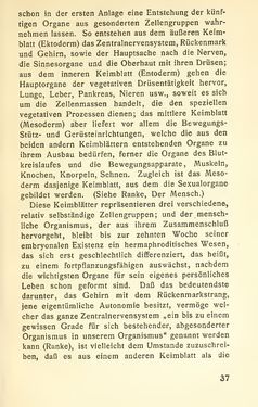 Image of the Page - 37 - in Zur Kritik der Weiblichkeit