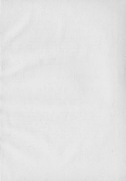 Image of the Page - 217 - in Kronprinz Rudolf - Politische Briefe an einen Freund 1882-1889