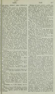 Bild der Seite - 117 - in Lateinisch-Deutsches und Deutsch-Lateinisches Schul-Wörterbuch - Lateinisch-Deutscher Theil