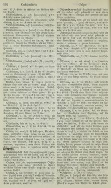 Image of the Page - 192 - in Lateinisch-Deutsches und Deutsch-Lateinisches Schul-Wörterbuch - Lateinisch-Deutscher Theil