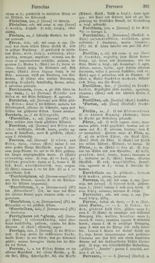 Image of the Page - 301 - in Lateinisch-Deutsches und Deutsch-Lateinisches Schul-Wörterbuch - Lateinisch-Deutscher Theil